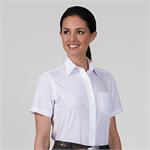 White Van Heusen Womens Broadcloth Short Sleeve Dress Shirts - Alpha Sized