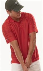 IZOD Men