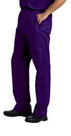Landau Scrubs 8550 Landau 8550 Mens Elastic Waist Pants - Grape