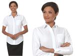 Van Heusen Long and Short Sleeve Womens Cotton Rich Broadcloth Blouses